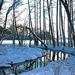 Blauer Am Mit Boot Klein Labenz