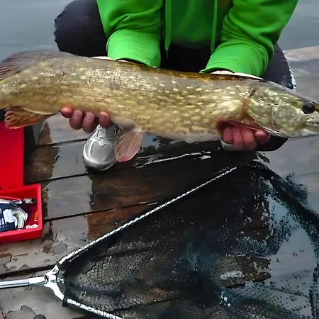 Blauer Am Mit Boot *